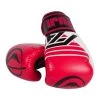FUJI ASCENSION BOXING GLOVES -Sports-Boxing & Martial Arts FA Boxing 16oz 3632 front
