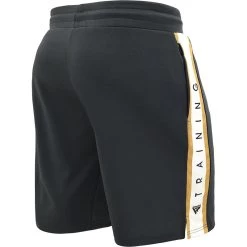 RDX SPORTS RDX T17 AURA TRAINING SHORTS -Sports-Boxing & Martial Arts RDX T17 Aura Training Shorts 1