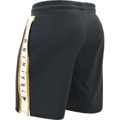 RDX SPORTS RDX T17 AURA TRAINING SHORTS -Sports-Boxing & Martial Arts RDX T17 Aura Training Shorts 2