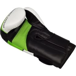 RDX SPORTS RDX R8 Boxing Gloves -Sports-Boxing & Martial Arts kids boxing gloves 173
