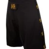 LUTA Fight Shorts