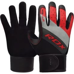 RDX SPORTS RDX F41 FITNESS GYM GLOVES 19 RDX SPORTS RDX F41 FITNESS GYM GLOVES -Sports-Boxing & Martial Arts rdx f41 competition weight lifting gloves 77