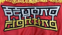 RDX SPORTS RDX R4 RED FIRE MUAY THAI SHORTS -Sports-Boxing & Martial Arts rdx fire muay thai satin shorts 188